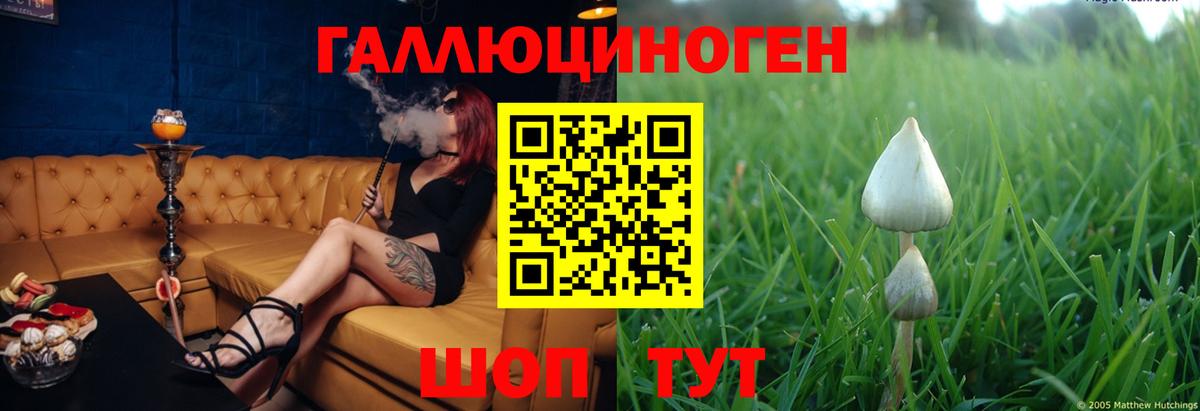 Псилоцибиновые грибы мухоморы  цены наркотик  Тулун  Вход с VPN 